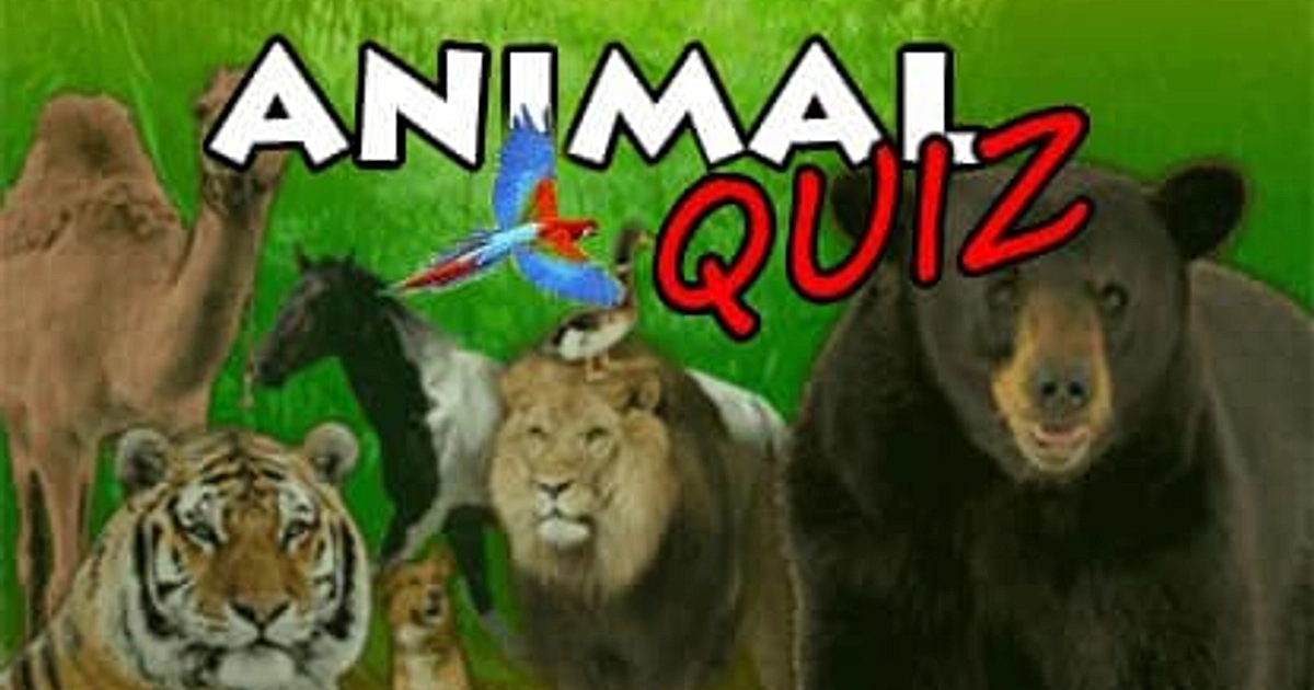 Você consegue adivinhar todos os animais? - TriviaCreator