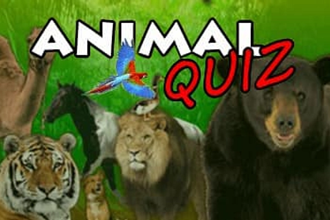 Animal Quiz