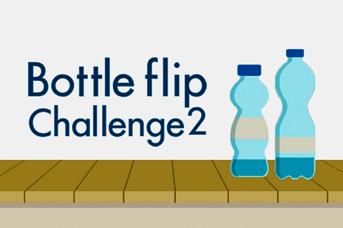 Bottle Flip Challenge 2